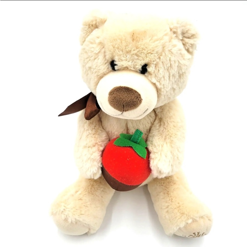 Edible Arrangements Bear Holding chocolate covered Strawberry Stuffed Animal